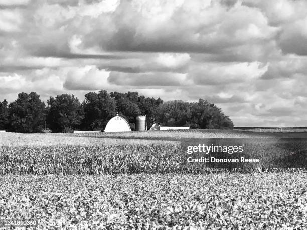 minnesota farm scene. agriculture - red barn corn field stock pictures, royalty-free photos & images