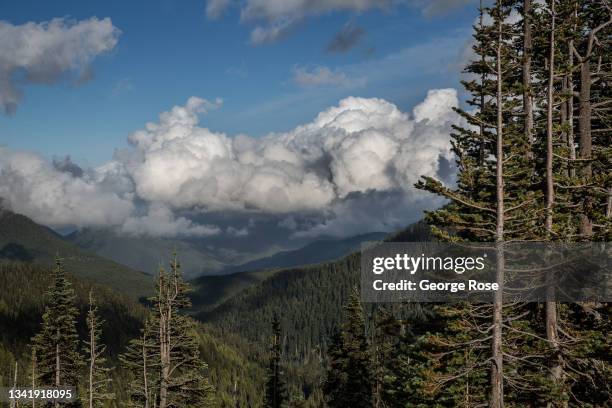 Clouds dance along the mountain tops viewed from the Hurricane Ridge Visitor Center vista point, a popular destination overlooking the entire Olympic...