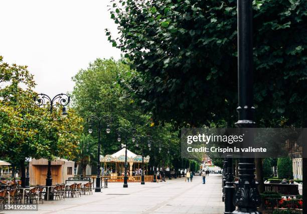 pedestrian street view of a city with cafe terraces and a carousel, and trees on a sunny day - fußgängerzone stock-fotos und bilder