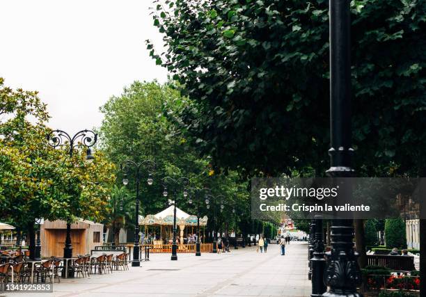 pedestrian street view of a city with cafe terraces and a carousel, and trees on a sunny day - pedestrian zone 個照片及圖片檔