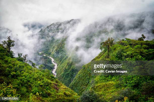 tranquil scene of river valley in clouds - costa rica stock pictures, royalty-free photos & images