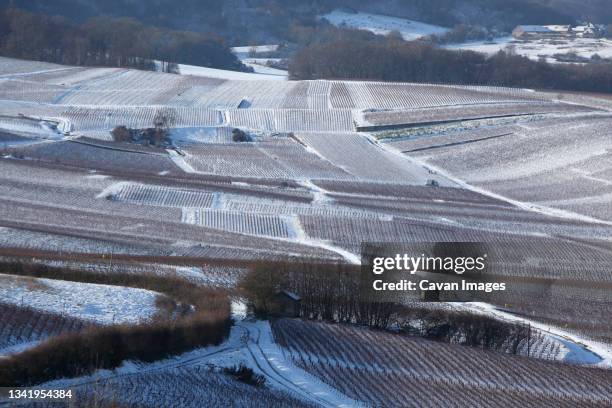 snow in champagne - campagne france stock pictures, royalty-free photos & images