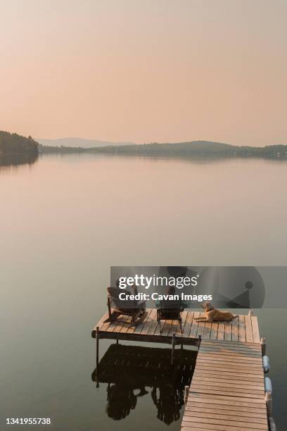 woman, dog and man relaxing on the end of long lake dock. - ponton photos et images de collection