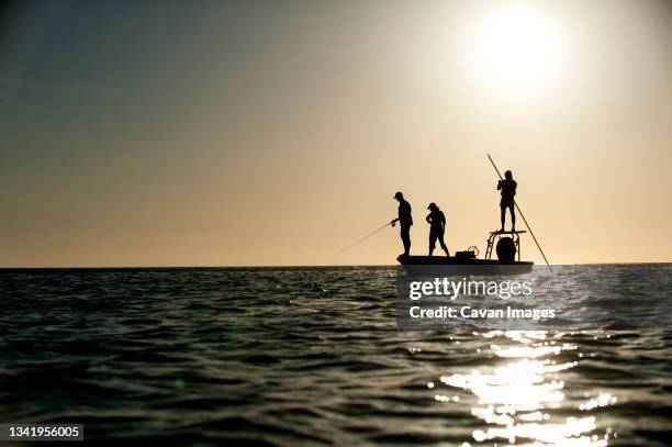 a couple fish as a man pilots a small boat in florida. (silhouette) - fort lauderdale florida ストックフォトと画像