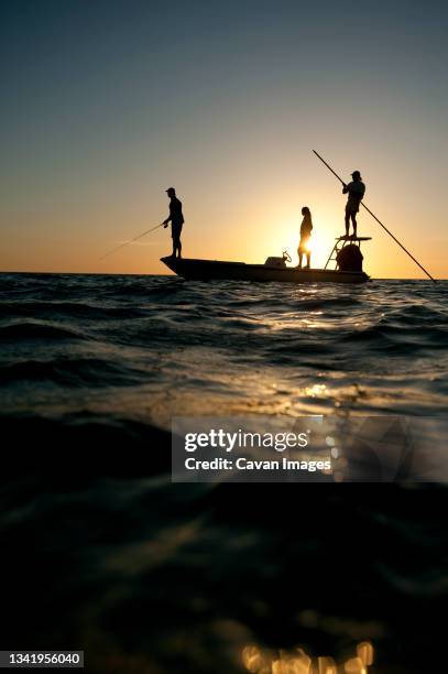 a couple fish as a man pilots a small boat in florida. - 日出市 羅德岱堡 個照片及圖片檔