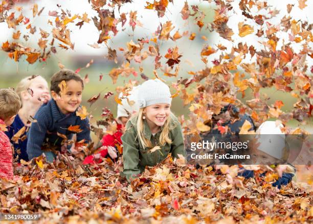 children throwing leaves around - young leafs stockfoto's en -beelden