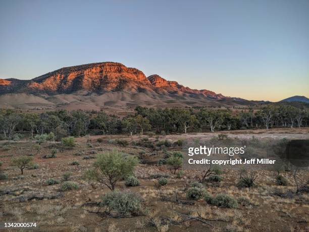 heysen range at sunrise, ikara-flinders ranges national park, south australia - south australia copy space stock pictures, royalty-free photos & images