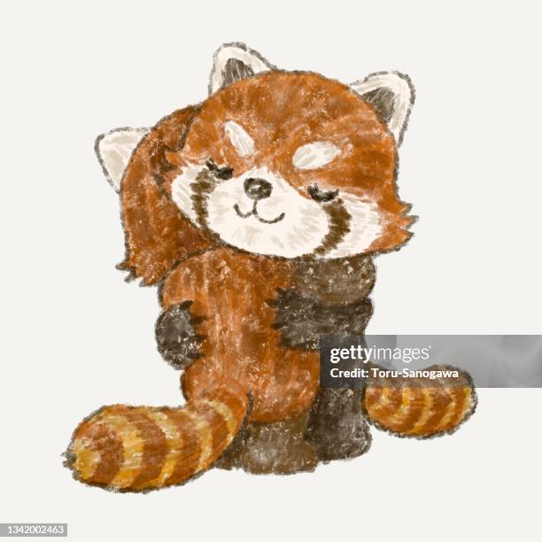 red pandas giving a hug - red panda stock illustrations