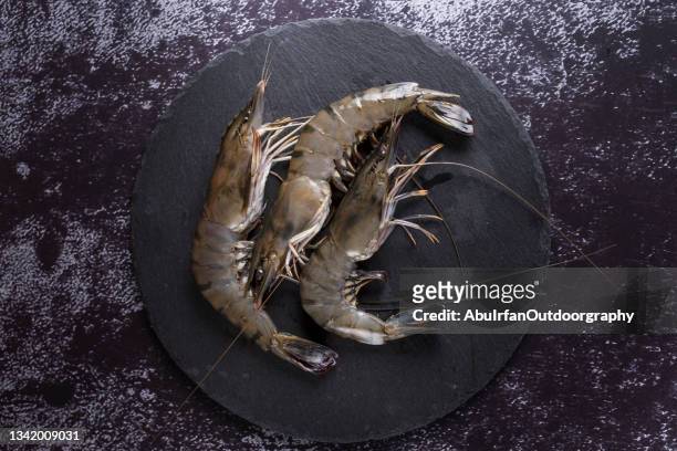 fresh of prawn - poisson cru photos et images de collection