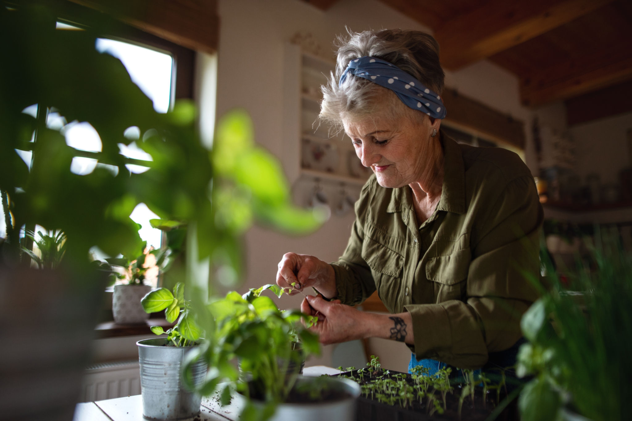 senior living eco-friendly