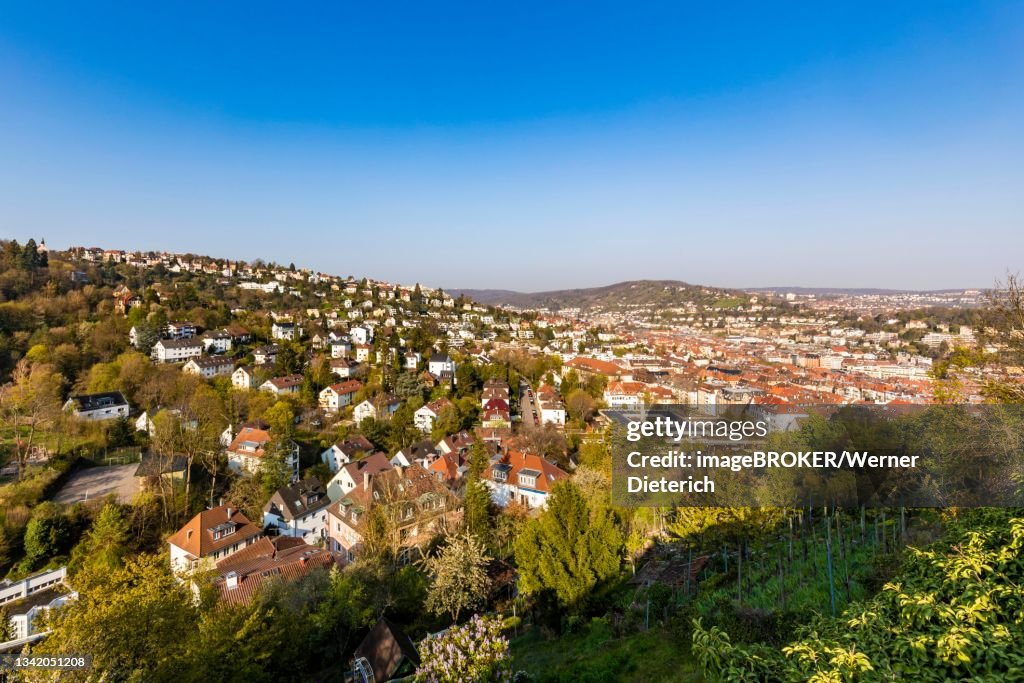 View from Neuer Weinsteige over Stuttgart, city view, residential houses, half-height location, Stuttgart, Baden-Wuerttemberg, Germany