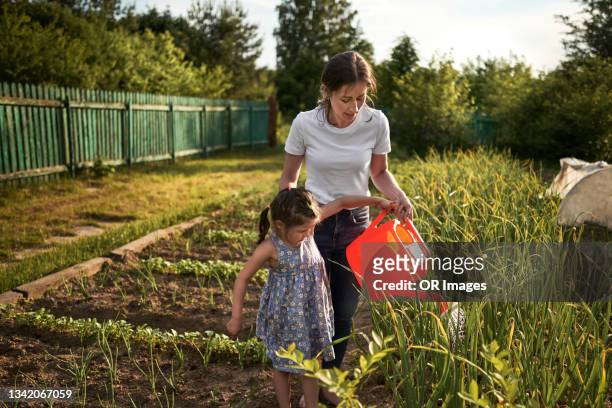 mother and daughter watering plants in vegetable garden - self sufficiency fotografías e imágenes de stock