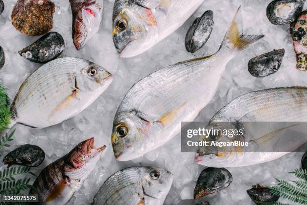 fresh fish's and sea food's on ice - frozen fish fillets stockfoto's en -beelden