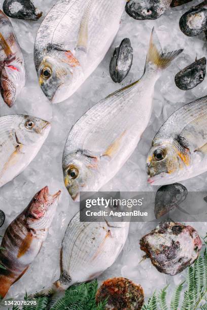 fresh fish's and sea food's on ice - frozen fish fillets stockfoto's en -beelden