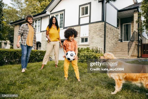 increase chances of personal loan approval - family dogs stock pictures, royalty-free photos & images