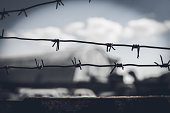 Barbed wire fence against dramatic, dark sky