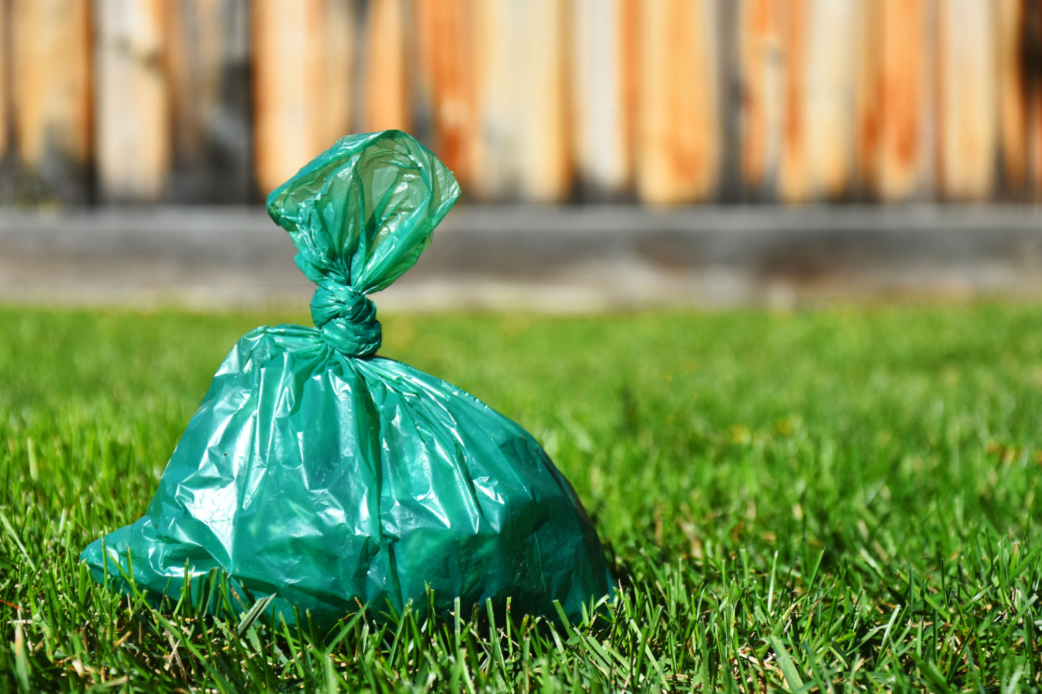 pet waste removal