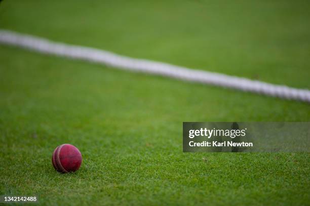 cricket - cricket ball close up stock pictures, royalty-free photos & images