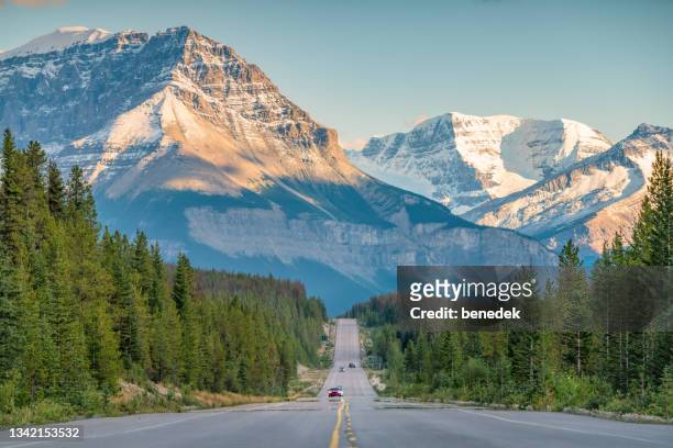kanadische rockies icefields parkway jasper nationalpark - canadian rocky mountains snow stock-fotos und bilder