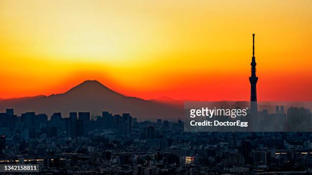 silhouette tokyo skytree and fuji mountain at sunset from i-linked ichikawa observatory deck, chiba, japan - mt fuji ストックフォトと画像