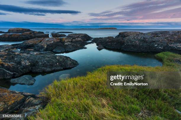 costa de la isla de vancouver - vancouver island fotografías e imágenes de stock