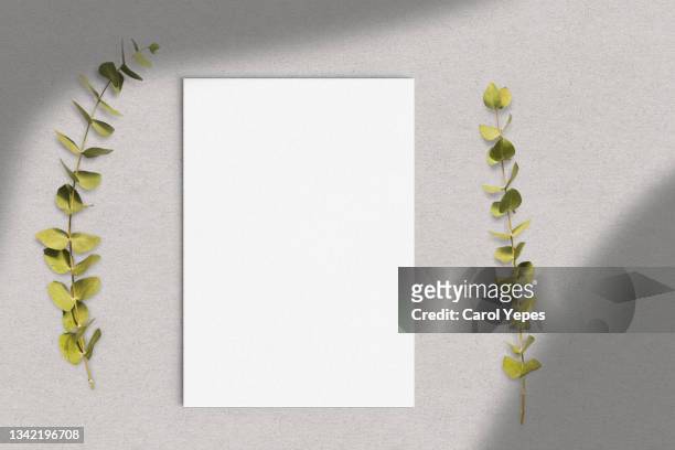 paper blank, eucalyptus branches in grey with shadows - notepad white table foto e immagini stock