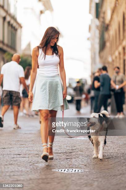 pet sitter walking with the dog in the city - pet leash stockfoto's en -beelden