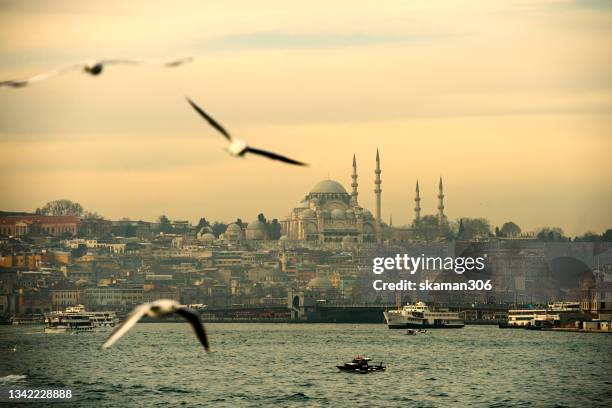 beautiful morning istanbul city  view from cruise sailing to bosphorus  tour  istanbul turkey - osmanisches reich stock-fotos und bilder