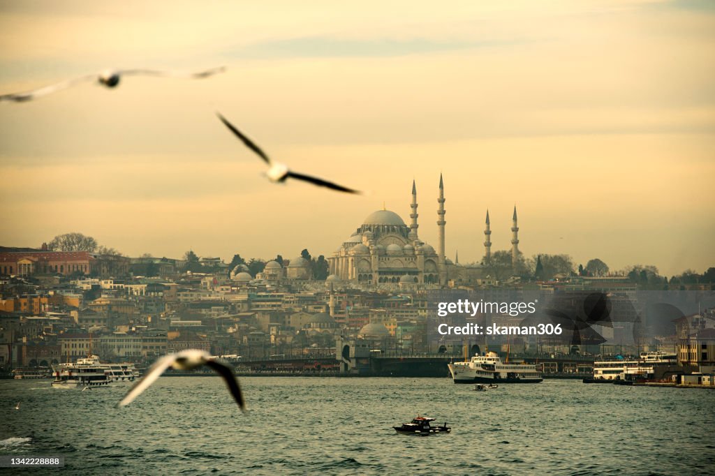 Beautiful morning Istanbul city view from cruise sailing to Bosphorus Tour Istanbul Turkey