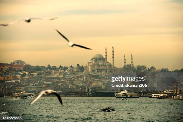 beautiful morning istanbul city  view from cruise sailing to bosphorus  tour  istanbul turkey - ottoman empire stock pictures, royalty-free photos & images