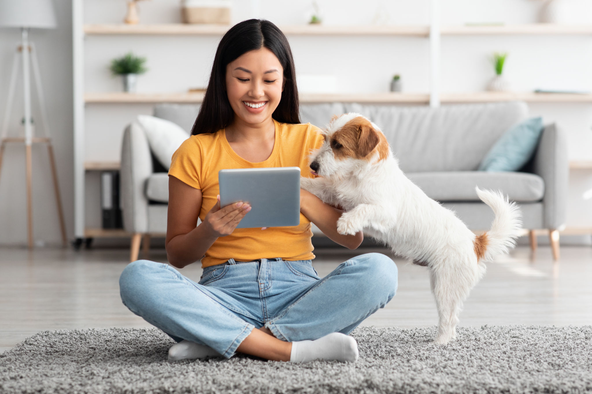 online dog training