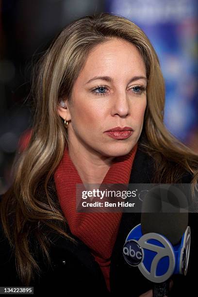 Journalist Lauren Glassberg from Eyewitness News attends the Lincoln Square Business Improvement District's 12th annual Winter's Eve on November 28,...