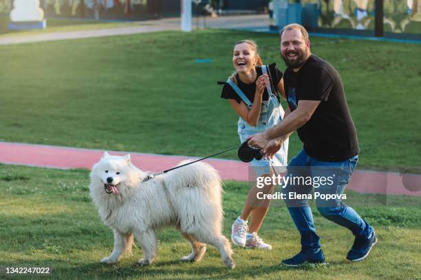 young adult couple walking with samoyed dog at the park on summer morning - couple portrait soft stock-fotos und bilder