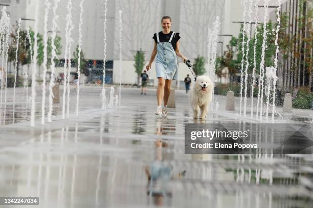 young adult woman playing with samoyed dog at the fountain park area - fountain stock pictures, royalty-free photos & images