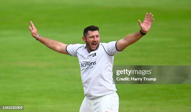Tim Bresnan of Warwickshire celebrates after taking the wicket of Ben Green of Somerset during Day Four of the LV= Insurance County Championship...