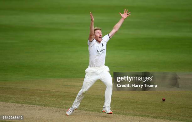 Liam Norwell of Warwickshire unsuccessfully appeals for the LBW of Steve Davies of Somerset during Day Four of the LV= Insurance County Championship...