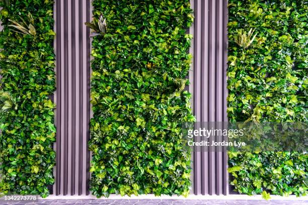 wall decorated with the plants - architectural feature stock pictures, royalty-free photos & images