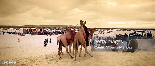 97 Festival In The Desert Mali Stock Photos, High-Res Pictures, and