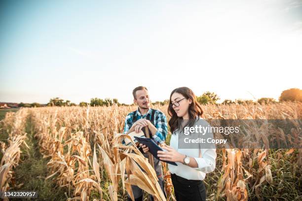 monitoring and control systems in agriculture - cob web stock pictures, royalty-free photos & images