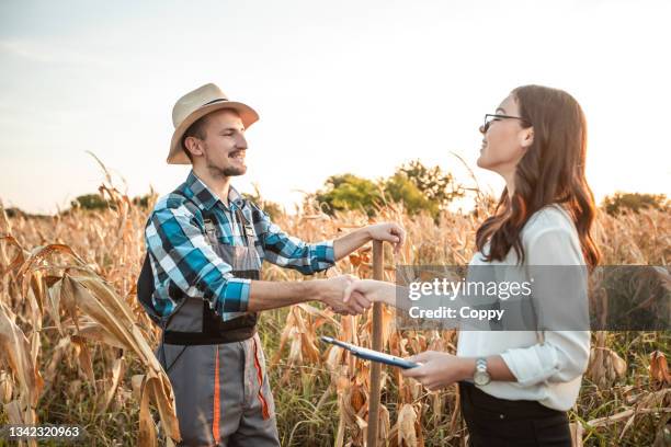 monitoring and control systems in agriculture - cob web stock pictures, royalty-free photos & images