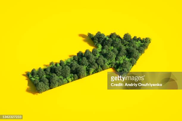 arrow made out of forest. - duurzaamheid stockfoto's en -beelden