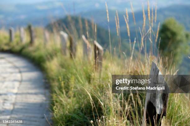 strada con prateria di lato in paesaggio collinare - prateria campo fotografías e imágenes de stock