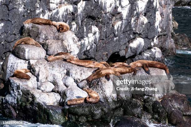 Pilllow Rocks Pillow Stones Photos and Premium High Res Pictures - Getty Images