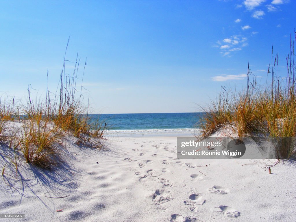 Footprints in White Sands of Destin