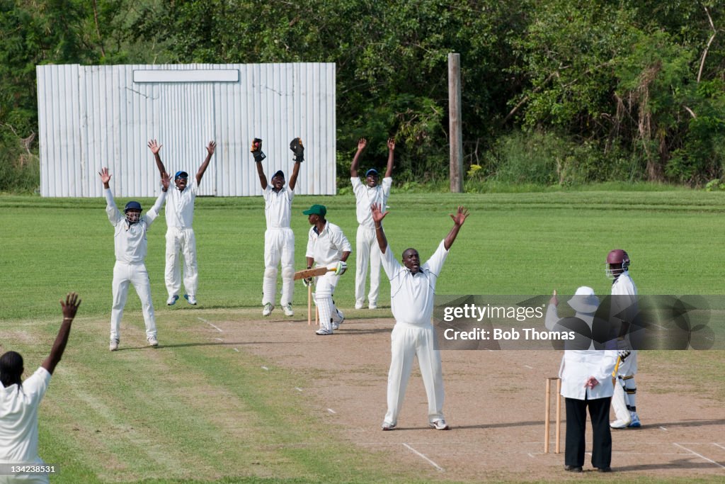 Caribbean Cricket
