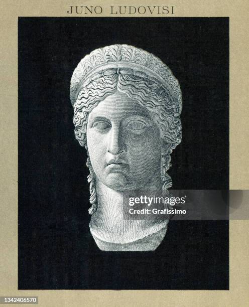 ilustraciones, imágenes clip art, dibujos animados e iconos de stock de juno ludovisi o busto de hera 1898 - ancient olympia greece