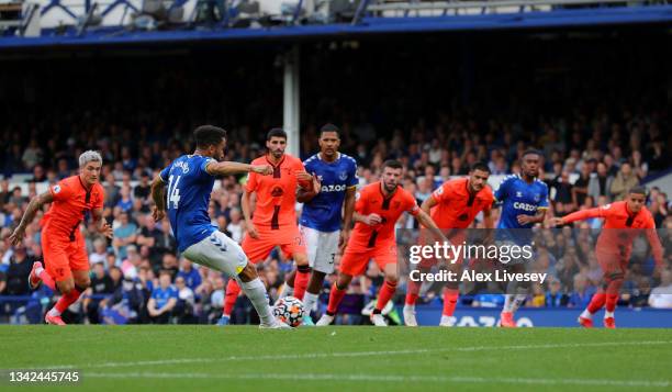 Andros Townsend of Everton scores their side's first goal from the penalty spot during the Premier League match between Everton and Norwich City at...