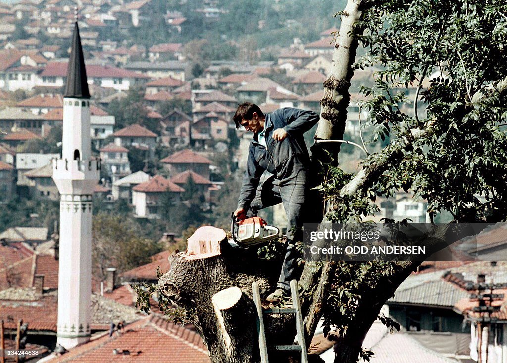 A Bosnian-Muslim man chops 11 October 19