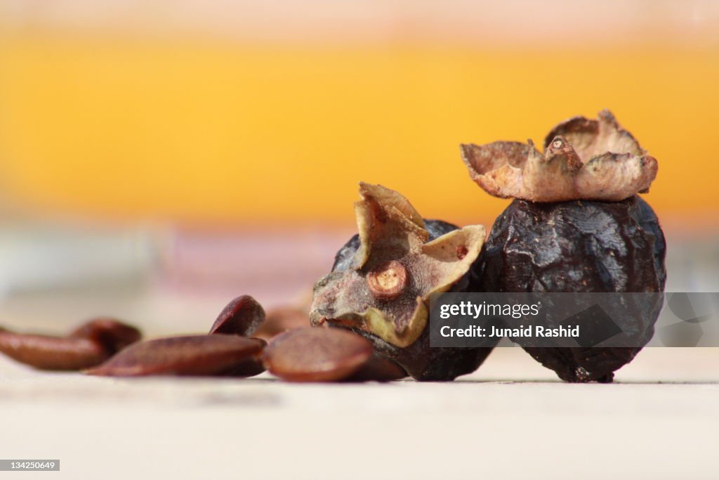 Malook Fruit with seeds