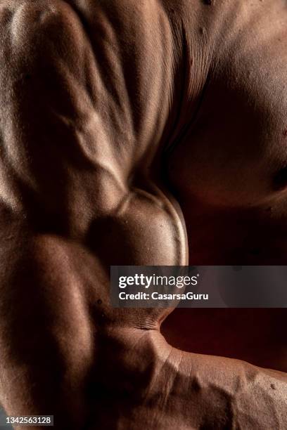 detail od a bodybuilder bicep - vein muscle stock pictures, royalty-free photos & images